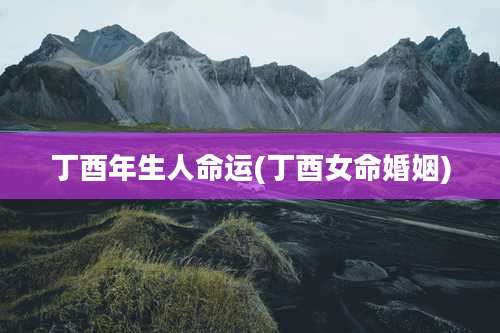 丁酉年生人命运(丁酉女命婚姻)