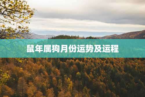 鼠年属狗月份运势及运程