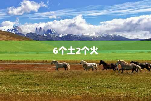 6个土2个火