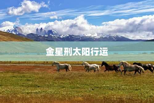 金星刑太阳行运