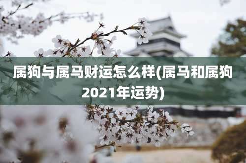 属狗与属马财运怎么样(属马和属狗2021年运势)