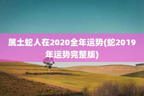 属土蛇人在2020全年运势(蛇2019年运势完整版)