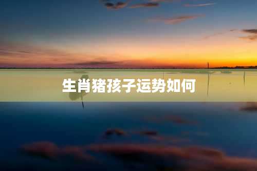 生肖猪孩子运势如何