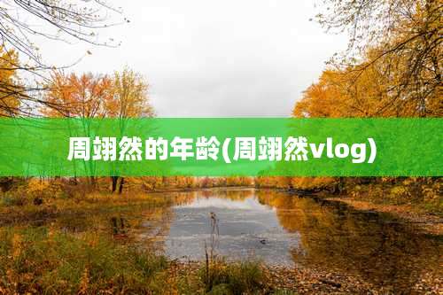 周翊然的年龄(周翊然vlog)