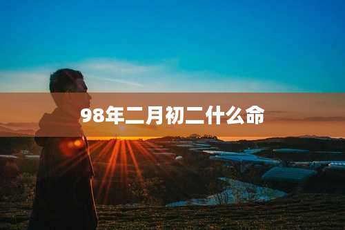 98年二月初二什么命