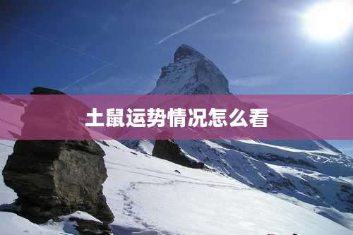 土鼠运势情况怎么看