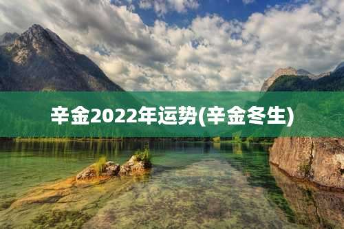 辛金2022年运势(辛金冬生)