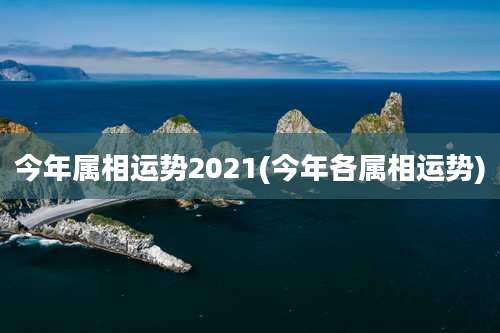 今年属相运势2021(今年各属相运势)
