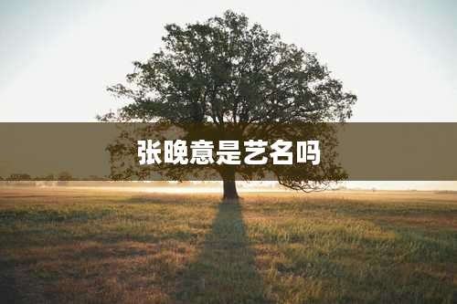 张晚意是艺名吗