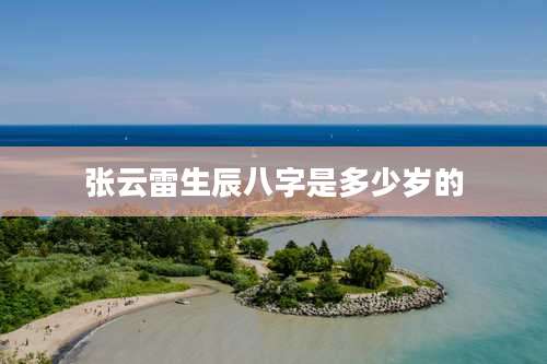 张云雷生辰八字是多少岁的