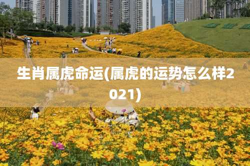 生肖属虎命运(属虎的运势怎么样2021)