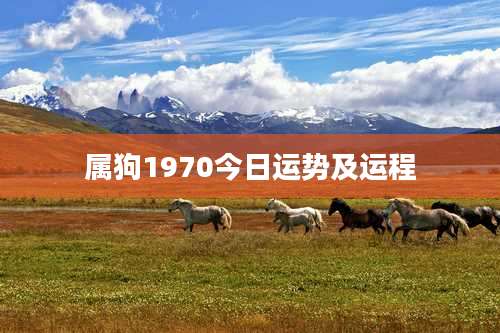 属狗1970今日运势及运程