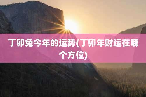 丁卯兔今年的运势(丁卯年财运在哪个方位)