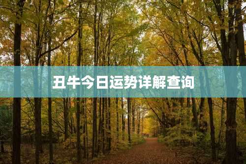 丑牛今日运势详解查询