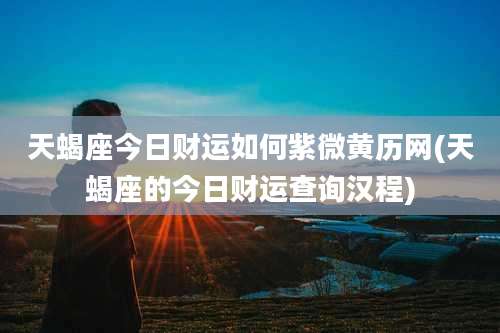 天蝎座今日财运如何紫微黄历网(天蝎座的今日财运查询汉程)