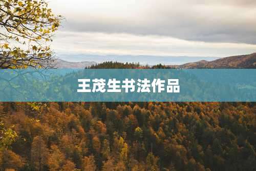 王茂生书法作品