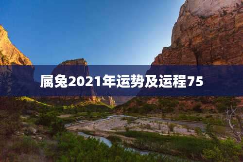 属兔2021年运势及运程75
