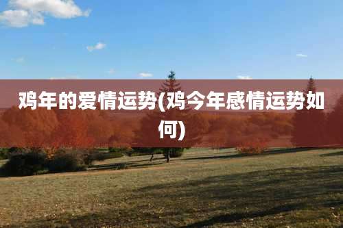 鸡年的爱情运势(鸡今年感情运势如何)