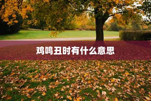 鸡鸣丑时有什么意思