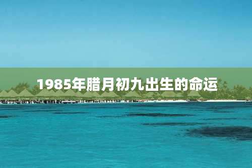 1985年腊月初九出生的命运