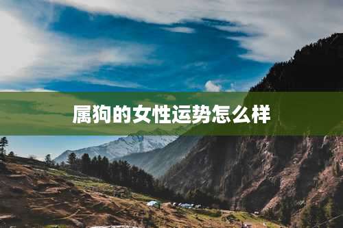 属狗的女性运势怎么样