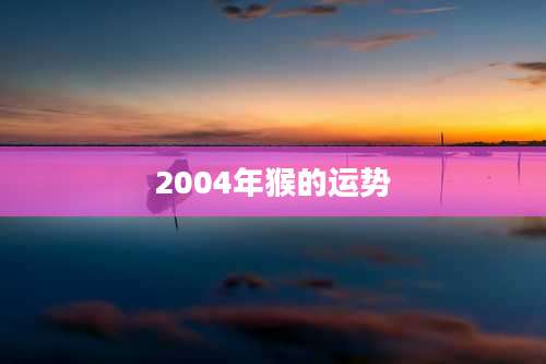 2004年猴的运势