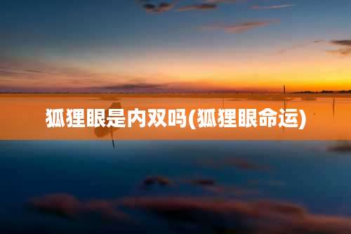 狐狸眼是内双吗(狐狸眼命运)