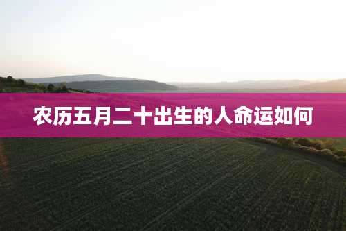 农历五月二十出生的人命运如何