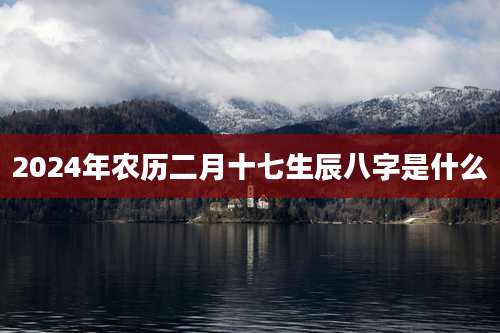 2024年农历二月十七生辰八字是什么