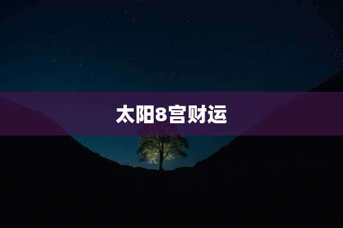 太阳8宫财运