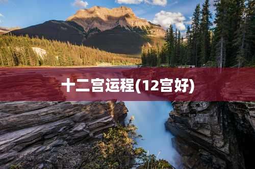 十二宫运程(12宫好)