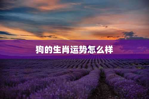 狗的生肖运势怎么样