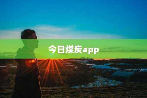 今日煤炭app