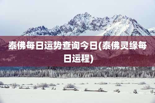 泰佛每日运势查询今日(泰佛灵缘每日运程)