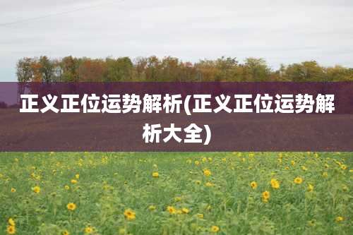 正义正位运势解析(正义正位运势解析大全)