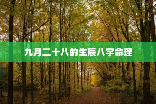 九月二十八的生辰八字命理