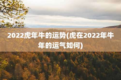 2022虎年牛的运势(虎在2022年牛年的运气如何)