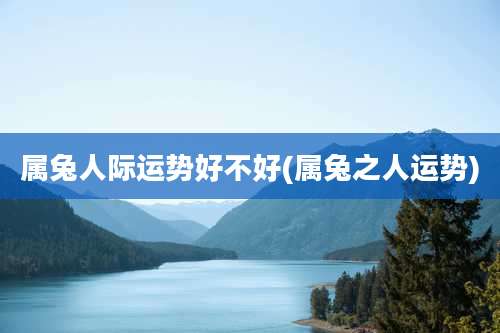 属兔人际运势好不好(属兔之人运势)