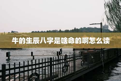 牛的生辰八字是啥命的啊怎么读