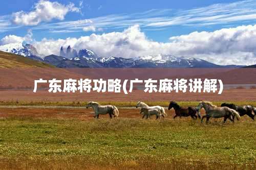 广东麻将功略(广东麻将讲解)