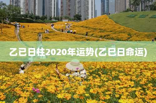 乙已日柱2020年运势(乙巳日命运)