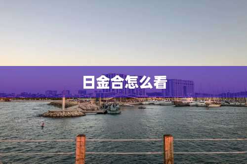 日金合怎么看