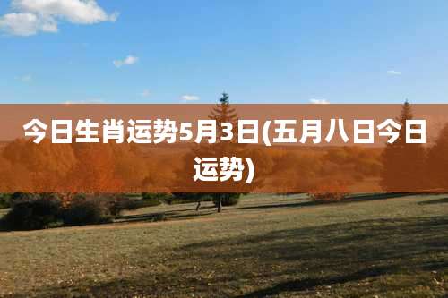 今日生肖运势5月3日(五月八日今日运势)