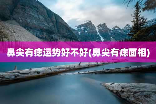 鼻尖有痣运势好不好(鼻尖有痣面相)
