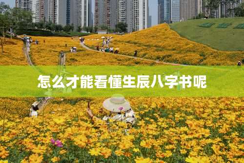 怎么才能看懂生辰八字书呢