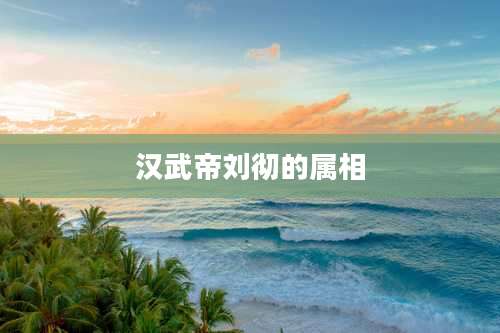 汉武帝刘彻的属相