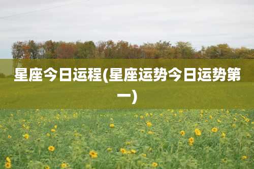 星座今日运程(星座运势今日运势第一)