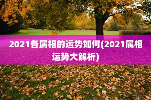 2021各属相的运势如何(2021属相运势大解析)