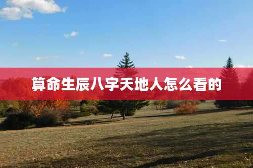 算命生辰八字天地人怎么看的