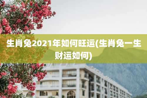 生肖兔2021年如何旺运(生肖兔一生财运如何)